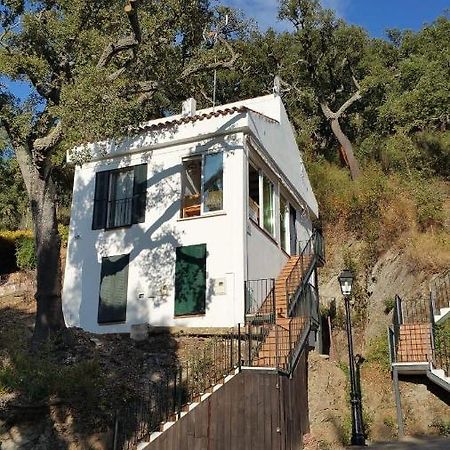 Casa Mandarina Aracenaヴィラ エクステリア 写真
